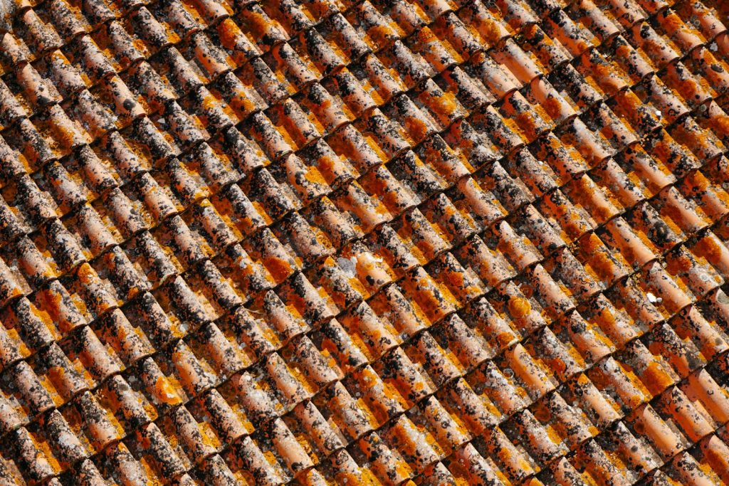 Why Natural Rattan Webbing Is One of the Most Sustainable Interior Materials